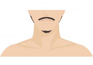 顎と鼻下スタイル
